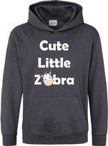Pixeline Hoodie Cute Little Zebra grijs 12-13 jaar - Zebra - Pixeline - Trui - Stoer - Dier - Kinderkleding - Hoodie - Dierenprint - Animal - Kleding