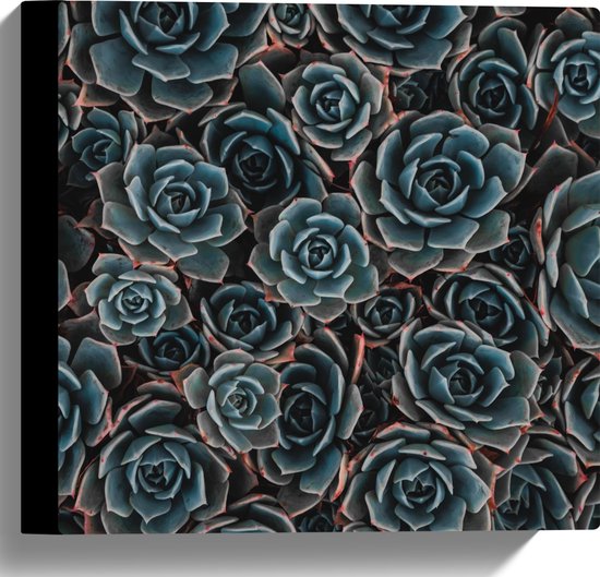 Canvas - Bovenaanzicht Blauw met Rode Bloemen - 30x30 cm Foto op Canvas Schilderij (Wanddecoratie op Canvas)