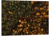 WallClassics - Dibond - Bovenaanzicht van Bos met Groene en Oranje Bomen - 100x75 cm Foto op Aluminium (Wanddecoratie van metaal)