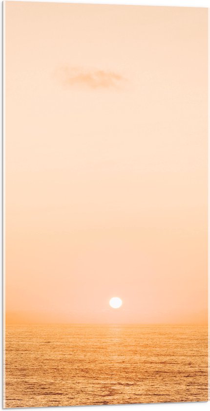 WallClassics - Acrylglas - Mistige Zonsondergang boven Zee - 50x100 cm Foto op Acrylglas (Met Ophangsysteem)