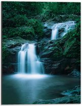 WallClassics - Dibond - Kleine Watervallen in Bos vol Begroeiing - 30x40 cm Foto op Aluminium (Met Ophangsysteem)