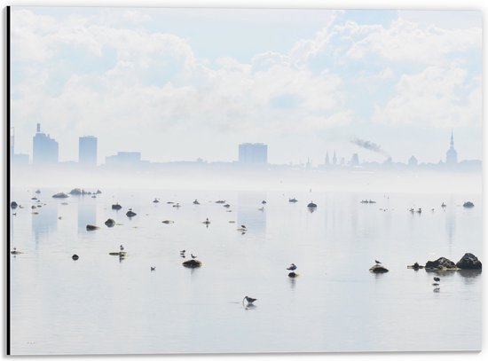 WallClassics - Dibond - Mist bij Skyline achter Meer met Vogels - 40x30 cm Foto op Aluminium (Met Ophangsysteem)