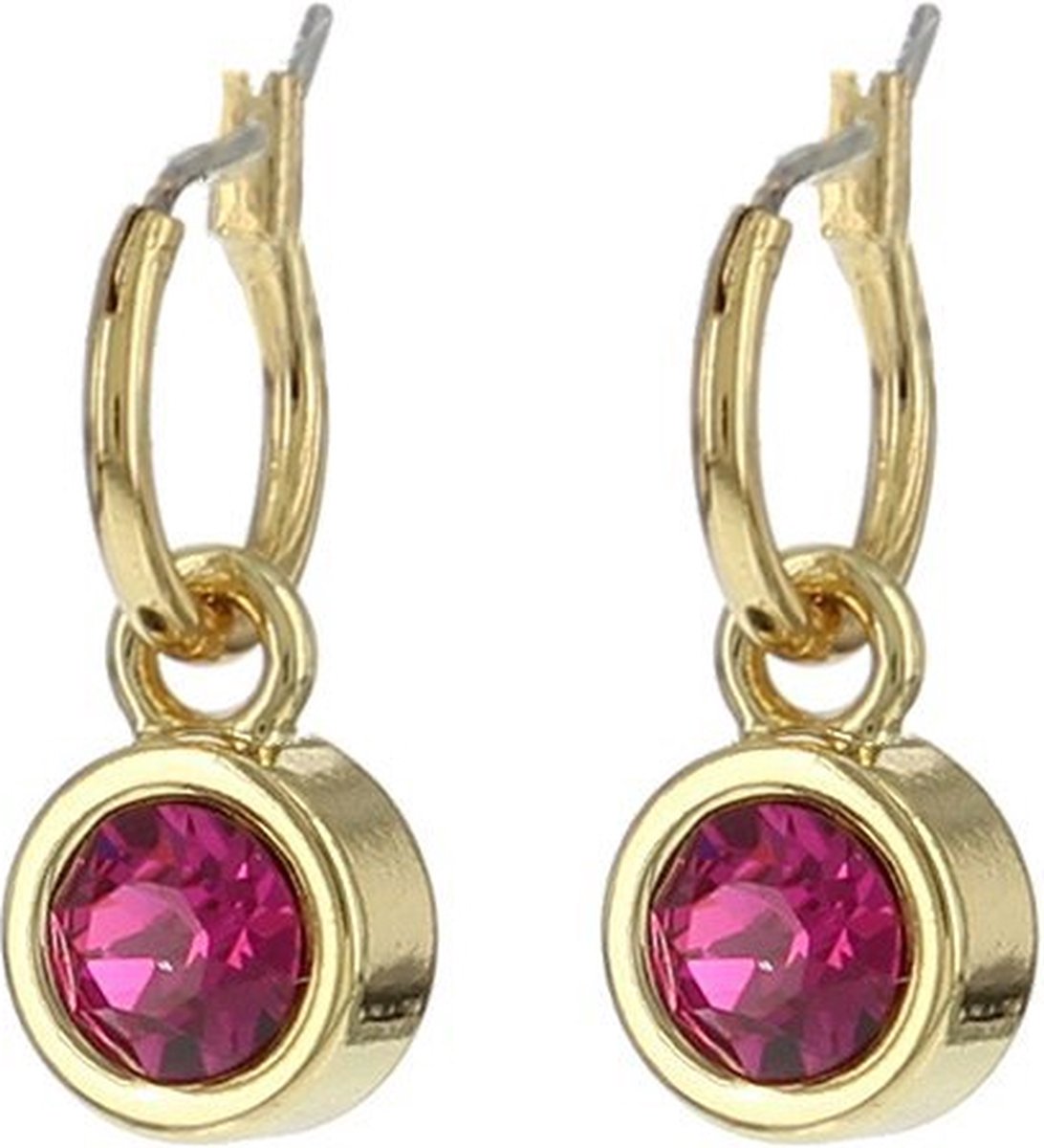 Biba Hang Oorbellen met Swarovski Steentje Fuchsia Goud