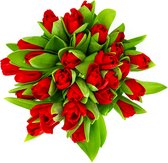 YouFlowers - Rode Tulpen - 50 stelen - Gratis bloemenvoeding - Snijbloemen - Vers van de kweker