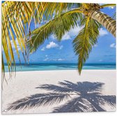 Tuinposter – Hangende Palmbladeren met Schaduw op Tropisch Wit Strand - 80x80 cm Foto op Tuinposter (wanddecoratie voor buiten en binnen)