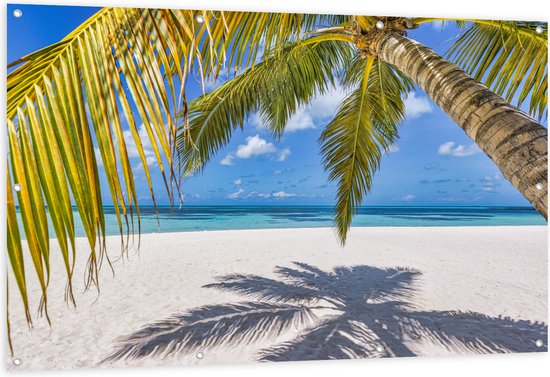 Tuinposter – Hangende Palmbladeren met Schaduw op Tropisch Wit Strand - 150x100 cm Foto op Tuinposter (wanddecoratie voor buiten en binnen)