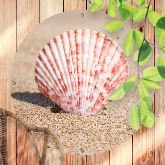 Ronde Tuinposter Seashell