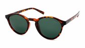 Polaroid PLD1013.S.V08.H8 - Lunettes de soleil - Marron - polarisées