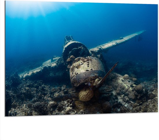 WallClassics - Dibond - Vliegtuigwrak op Bodem van Oceaan - 100x75 cm Foto op Aluminium (Met Ophangsysteem)