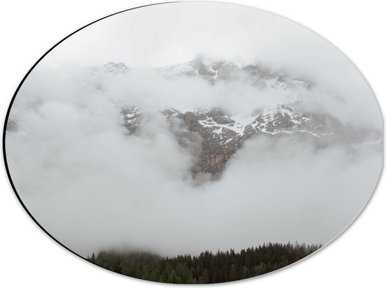 Dibond Ovaal - Bos aan de Rand van Hoge Bergen in de Mist - 40x30 cm Foto op Ovaal (Met Ophangsysteem)