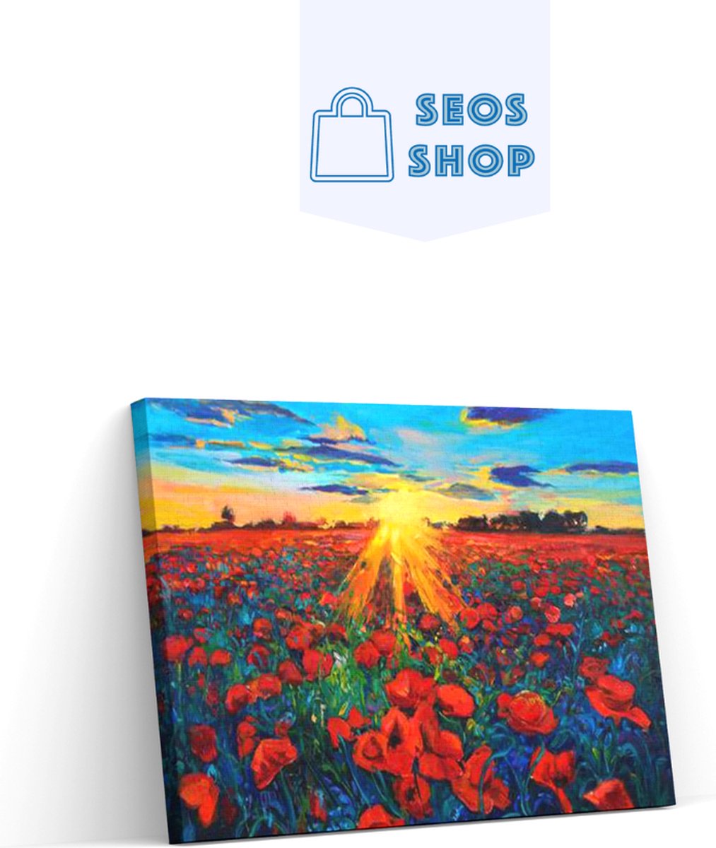 SEOS Shop ® Diamond Painting Pakket Bloemen veld - Volledig - FULL - Diamond Paintings - 40x30 cm - Vierkant
