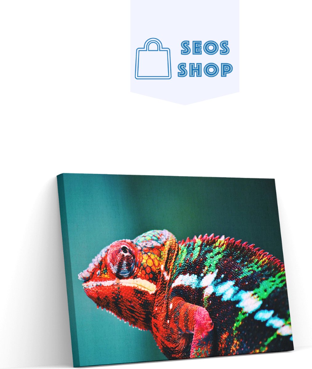SEOS Shop ® Diamond Painting Pakket kameleon - Volledig - Full - Diamond Paintings - 45x30 cm