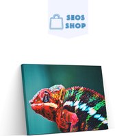 SEOS Shop ® Diamond Painting Volwassenen - Diamond Painting Kinderen - Diamond Painting Pakket Volledig - kameleon - 45x30 cm