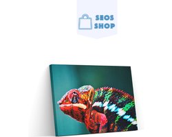 SEOS Shop ® Diamond Painting Volwassenen - Diamond Painting Kinderen - Diamond Painting Pakket Volledig - kameleon - 45x30 cm