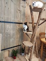 Catsy - Tree - 1,70 Buiten Krabpaal voor katten - Krabpaal voor grote katten - Hout Design - Houtkleur - Krabpaal Hout - krabpaal Outdoor - 75 x 75 x 170 cm