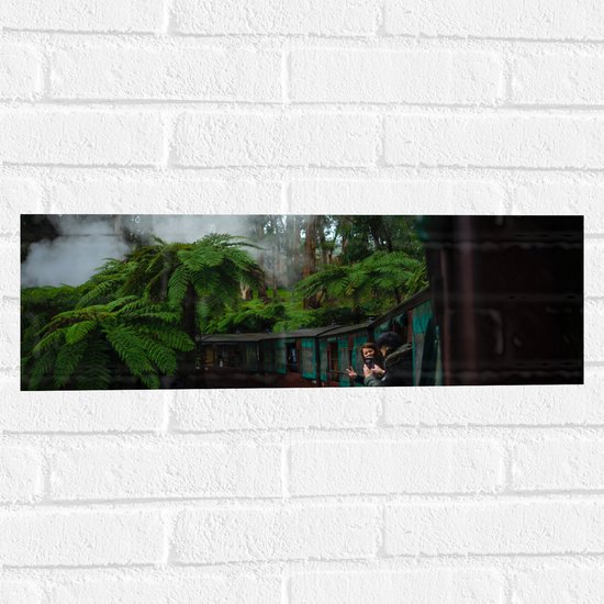 WallClassics - Muursticker - Stoom Trein door de Jungle - 60x20 cm Foto op Muursticker