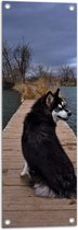 WallClassics - Tuinposter – Zwarte Alaska Hond op Brug over het Water - 30x90 cm Foto op Tuinposter (wanddecoratie voor buiten en binnen)