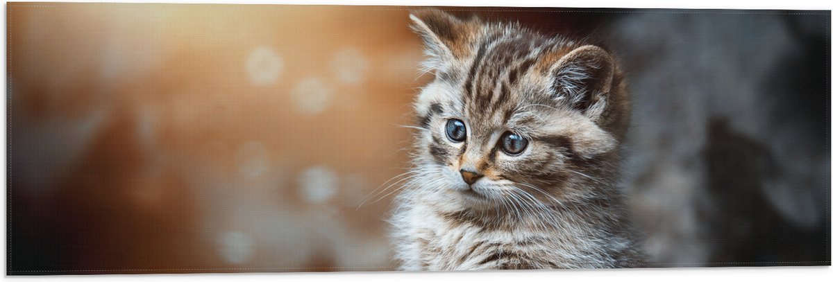 Vlag - Gestreepte Kitten achter een Boomstam - 90x30 cm Foto op Polyester Vlag