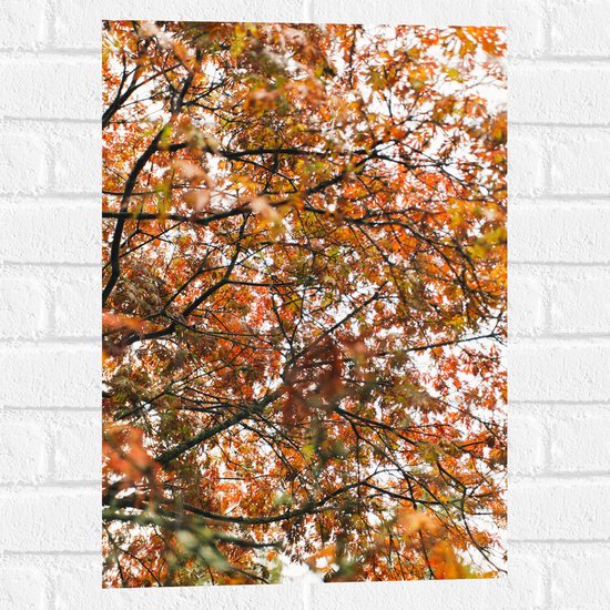 Muursticker - Herfst Bladeren in een Boom - 40x60 cm Foto op Muursticker