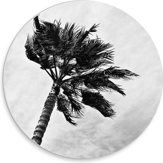 PVC Schuimplaat Muurcirkel - Harde Wind bij Palmboom - Zwart/Wit - 30x30 cm Foto op Muurcirkel (met ophangsysteem)