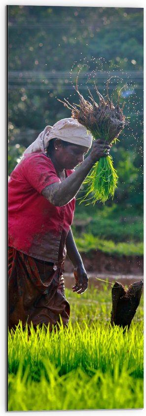 WallClassics - Dibond - Hardwerkende Thaise Vrouw op Landschap - 30x90 cm Foto op Aluminium (Met Ophangsysteem)