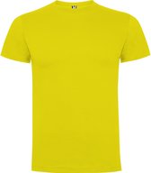 Geel 2 pack t-shirts Roly Dogo maat 4 98 – 104
