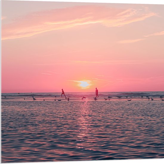 Acrylglas - Roze Zonsondergang aan Zee met Meeuwen - 80x80 cm Foto op Acrylglas (Met Ophangsysteem)