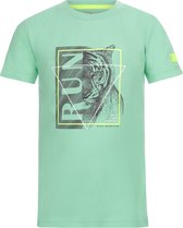 DJ Dutchjeans - T-shirt - Bright - Green - Tijger - Maat 116