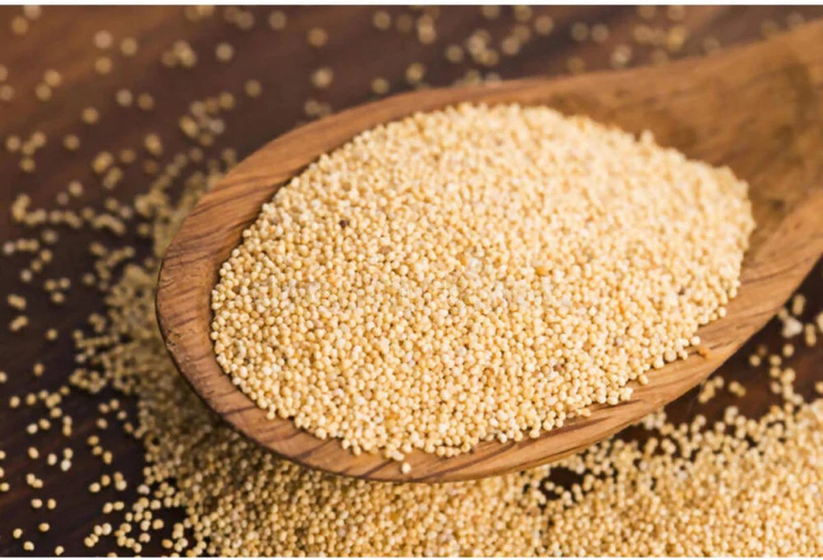 papaver zaad poppy seeds