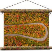 Textielposter - Kronkel Weg door Herfstkleurig Bos - 40x30 cm Foto op Textiel