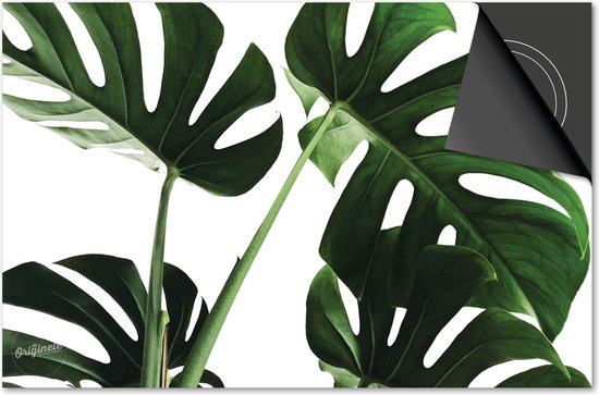 Protecteur induction 90x52 - plaque de couverture tapis induction - Dietrix Hob protector - Exclusif - Fleurs et Plantes - Monstera Light