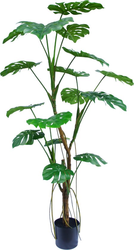 Greenmoods Kunstplanten - Kunstplanten - Kunstplant Monstera - Zijde - 180 cm
