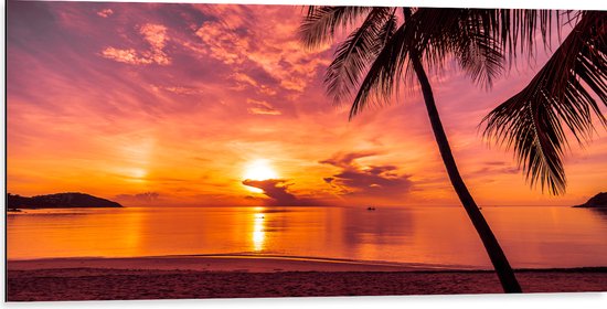 Dibond - Silhouet van Palmboom aan Kalm Water met Zonsondergang - 100x50 cm Foto op Aluminium (Met Ophangsysteem)