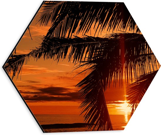 Dibond Hexagon - Silhouet van Grote Palmbladeren bij Feloranje Zonsondergang - 30x26.1 cm Foto op Hexagon (Met Ophangsysteem)