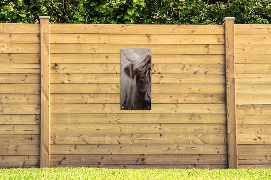 Poster de jardin Highlander écossais - Vache - Fourrure - 40x80 cm - Décoration murale Outdoor - Poster de jardin - Toile de jardin - Poster de clôture - Tableau de jardin
