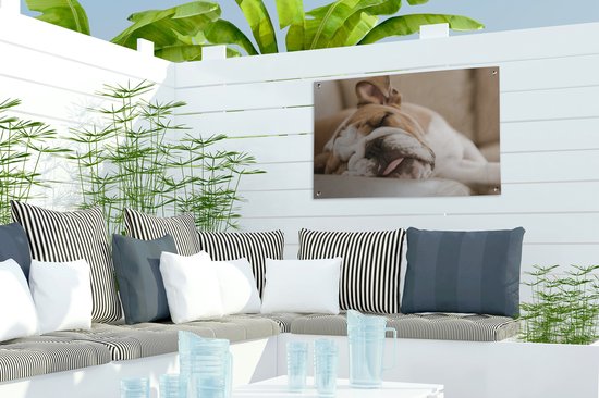 Bulldog anglais dort sur le canapé Affiche de jardin 60x40 cm - petit - Toile de jardin / Toile d'extérieur / Peintures pour l'extérieur (décoration de jardin)
