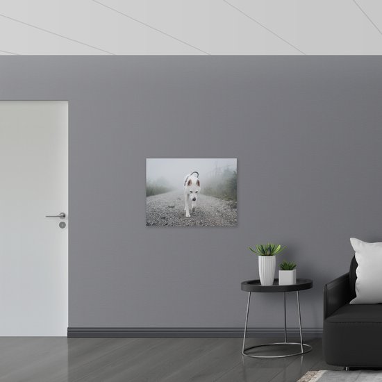 Acrylglas - Eenzame Witte Hond Lopend over een Pad - 80x60 cm Foto op Acrylglas (Wanddecoratie op Acrylaat)