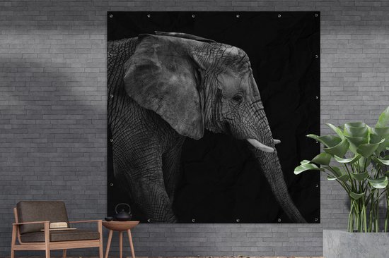 Poster de Jardin Éléphant - Zwart et blanc - Portrait - Animaux - 200x200 cm - Toile de jardin - Poster extérieur