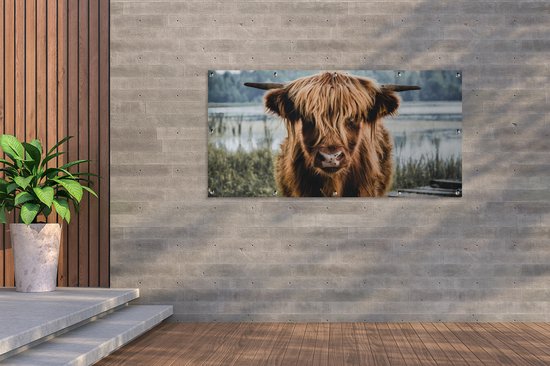 Affiche de clôture Vaches - Highlander écossais - Marron - Nature - 200x100 cm - Toile de jardin