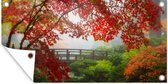 Schuttingposter Japanse esdoorn - Bomen - Brug - Natuur - Japans - 200x100 cm - Tuindoek