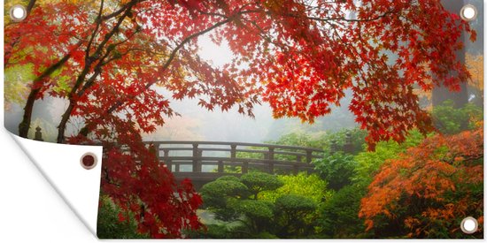 Japanse esdoorn - Bomen - Brug - Natuur - Japans - Tuindoek