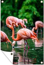 Tuinposter - Tuindoek - Tuinposters buiten - Flamingo - Tropisch - Vogel - Water - Roze - 80x120 cm - Tuin