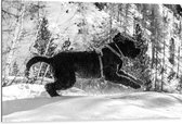 WallClassics - Dibond - Zwarte Hond Springend in de Sneeuw - 105x70 cm Foto op Aluminium (Met Ophangsysteem)