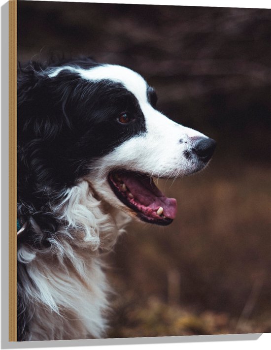 WallClassics - Hout - Zwart Witte Hond met open Mond - 60x80 cm - 9 mm dik - Foto op Hout (Met Ophangsysteem)