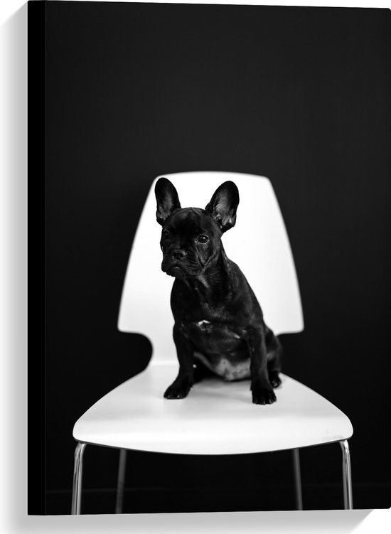 WallClassics - Canvas - Zwarte zittende Hond op Witte Stoel - 40x60 cm Foto op Canvas Schilderij (Wanddecoratie op Canvas)