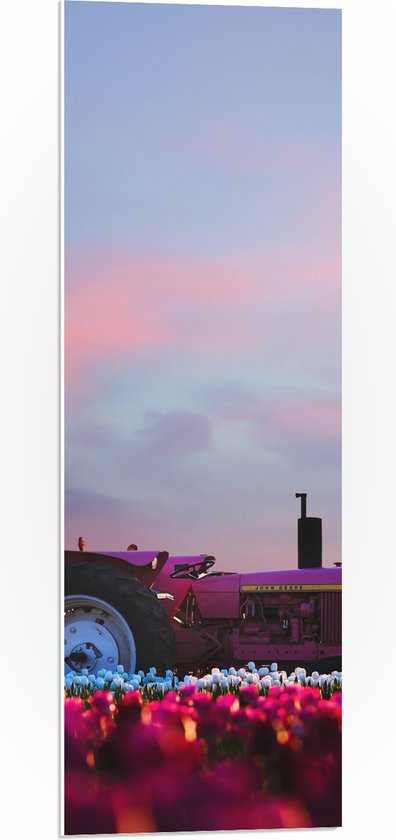 WallClassics - Feuille de Mousse PVC - Tracteur Rose dans un Champ de Fleurs - Photo 30x90 cm sur Feuille de Mousse PVC