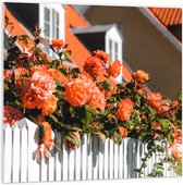 WallClassics - PVC Schuimplaat - Witte Schutting met Roze Tuinrozen - 100x100 cm Foto op PVC Schuimplaat (Met Ophangsysteem)