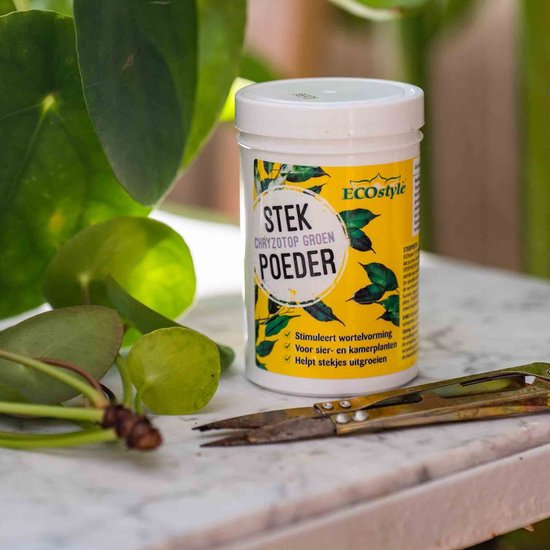 ECOstyle Stekpoeder Stimuleert Wortelvorming - Voor Sier & Kamerplanten - Helpt Stekjes Uitgroeien tot een Volwaardige Plant - 25 GR
