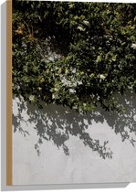 WallClassics - Hout - Witte Muur met Groene Planten - 40x60 cm - 9 mm dik - Foto op Hout (Met Ophangsysteem)