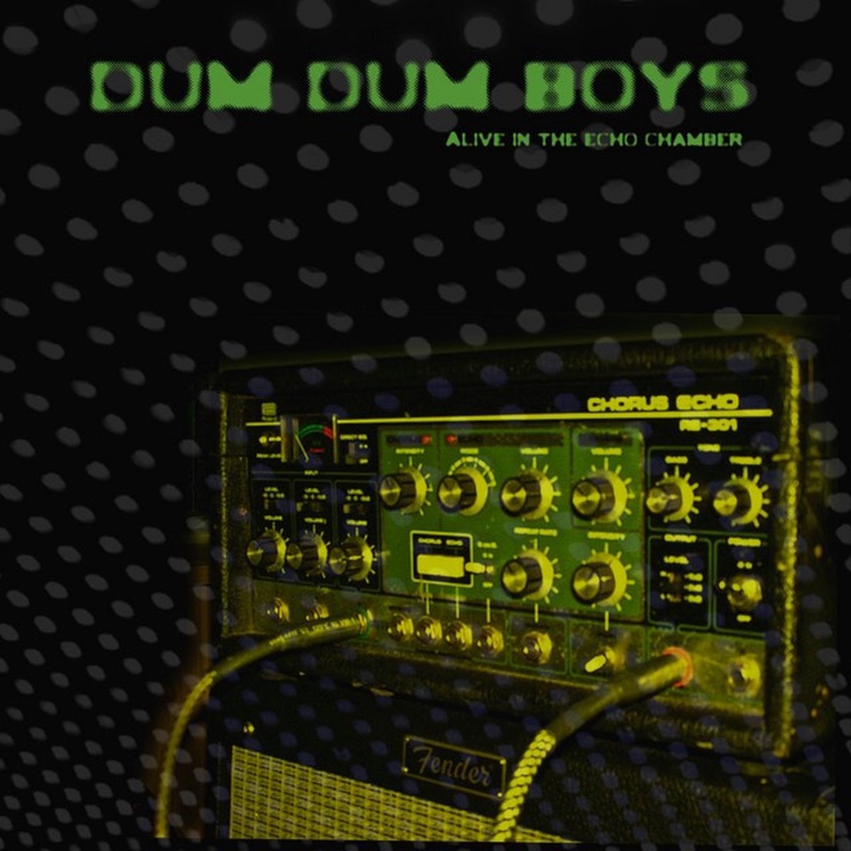 Dum Dum Boys - Alive In The Echo Chamber (LP)
